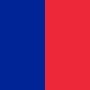 Flagge der departement Paris