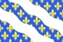 Flagge der departement Yvelines